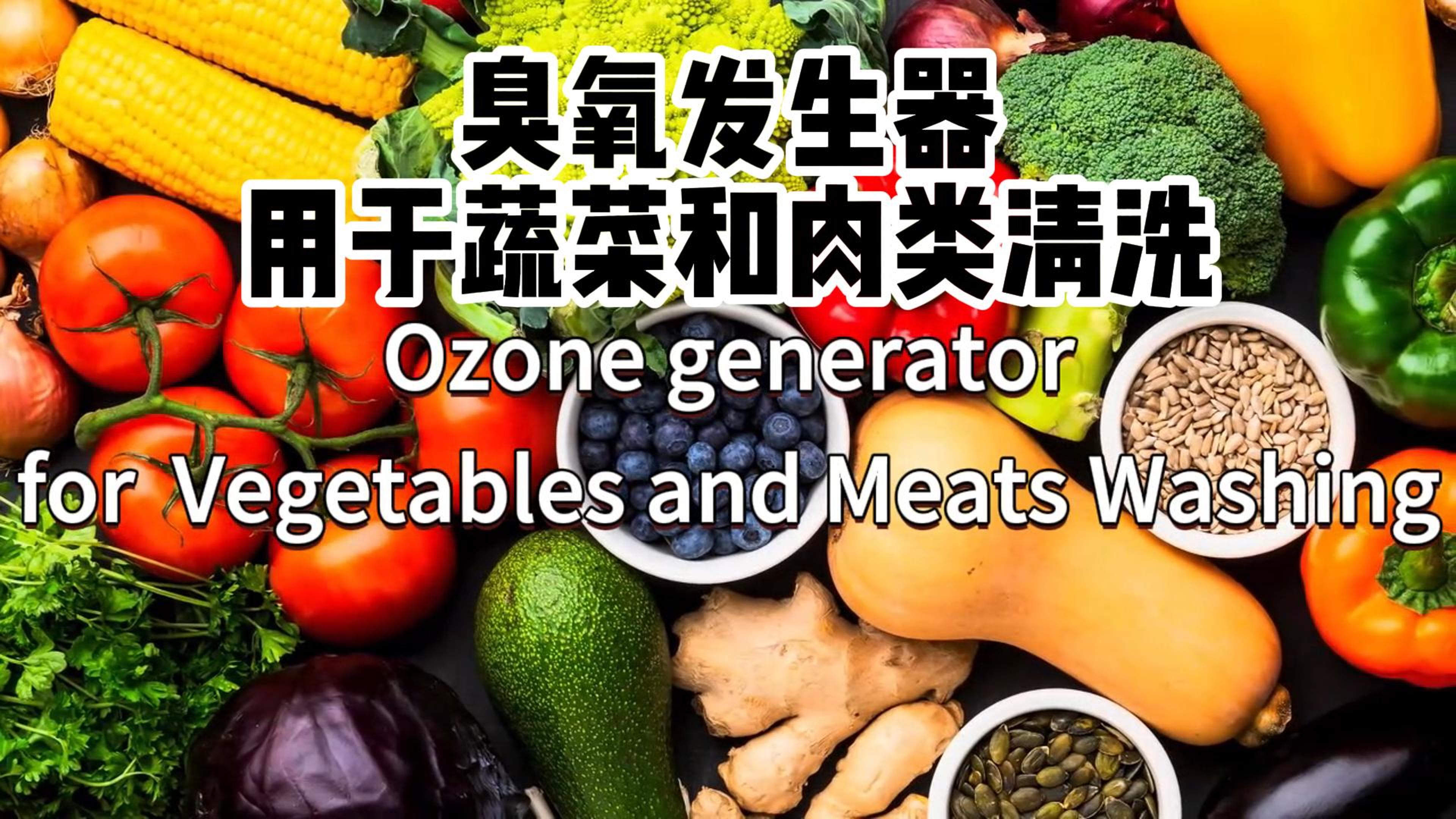 臭氧發(fā)生器在食品加工和儲存過程中用于蔬菜、水果和肉類的消毒